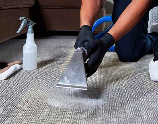 Our Carpet Cleaning Process